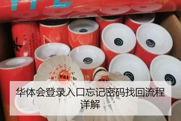 华体会登录入口忘记密码找回流程详解