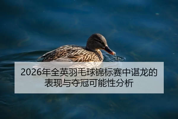 nian-quan-ying-yu-mao-qiu-jin-biao-sai-zhong-chen-long-de-biao-xian-yu-duo-guan-ke-neng-xing-fen-xi-2-239.jpg