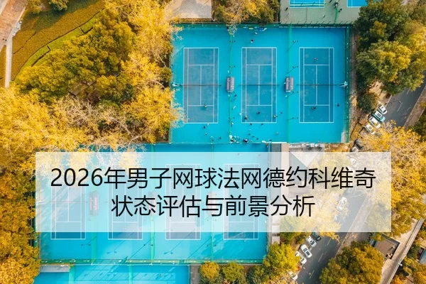 nian-nan-zi-wang-qiu-fa-wang-de-yue-ke-wei-qi-zhuang-tai-ping-gu-yu-qian-jing-fen-xi-2-205.jpg