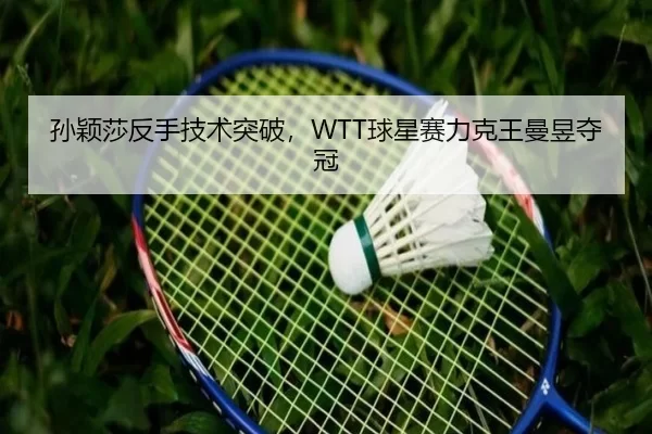sun-ying-sha-fan-shou-ji-shu-tu-po-qiu-xing-sai-li-ke-wang-man-yu-duo-guan-2-302.jpg